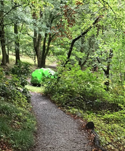 Copyright: Diana Pereira Goncalves