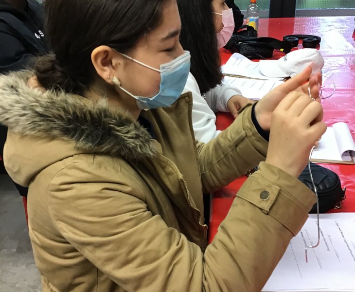 Copyright: Diana Pereira Goncalves