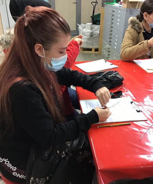 Copyright: Diana Pereira Goncalves